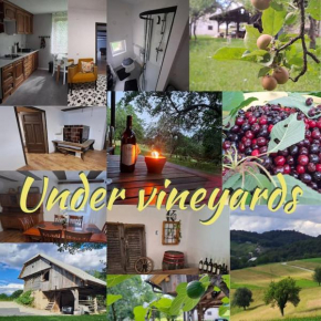 Pod vinogradi